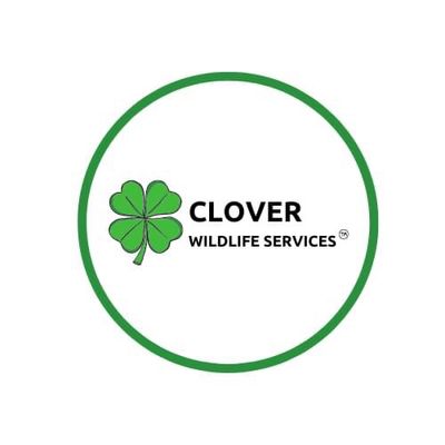 Avatar for Clover Wildlife Services