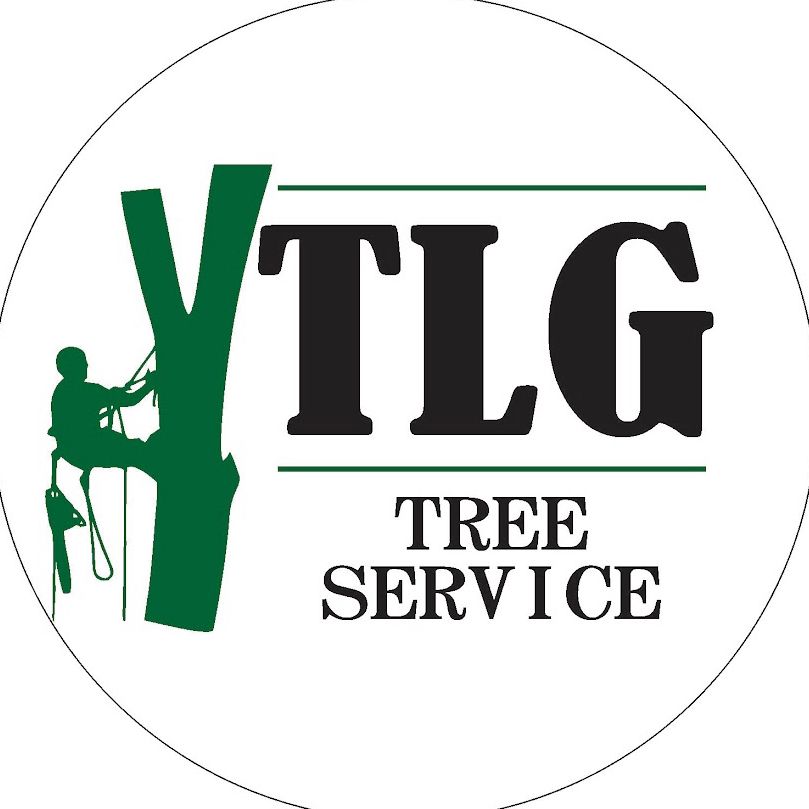 TLG tree service LLC
