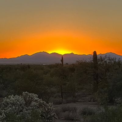 Avatar for Desert Sunset Landscaping and Property Maintenance