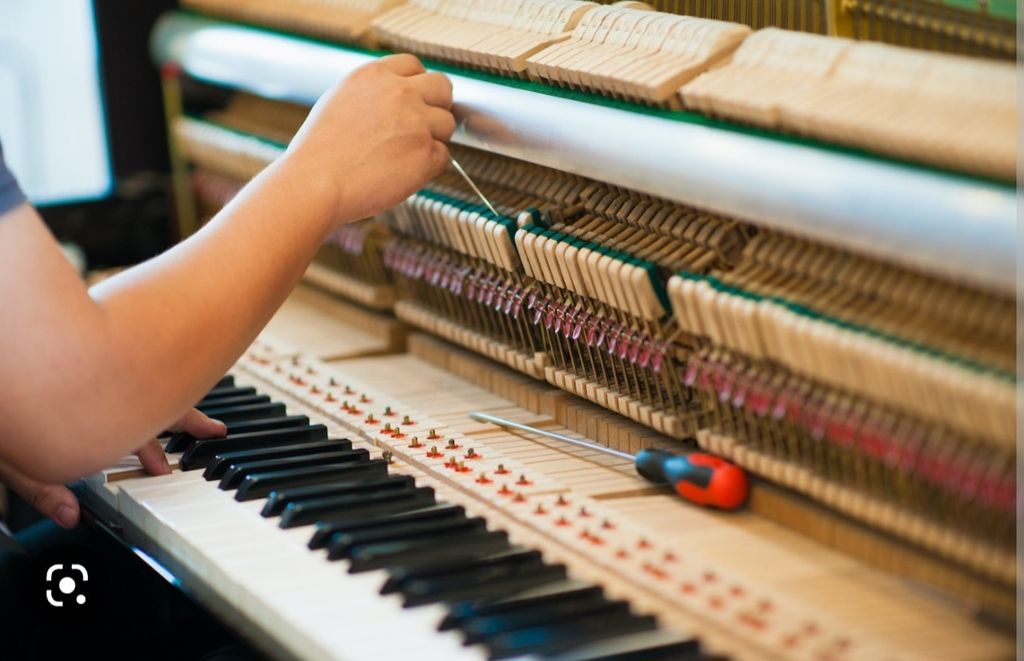 Zina's Piano Tuning!