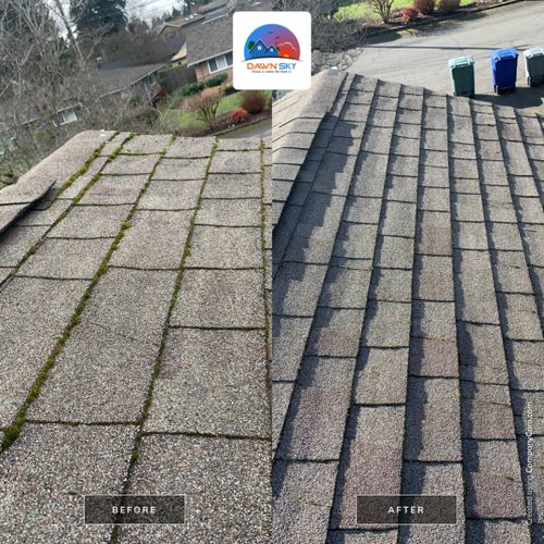 Gutter Cleaning and Maintenance