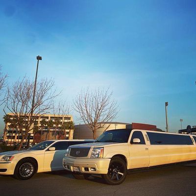 Avatar for Elevated Limousine