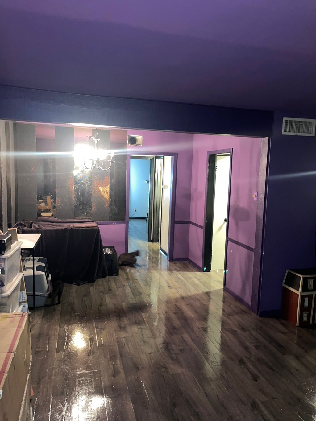 Projects and media