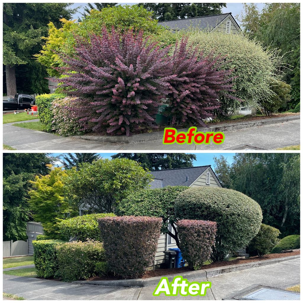 Bp Greenworks LLC