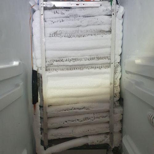 Appliance Repair or Maintenance