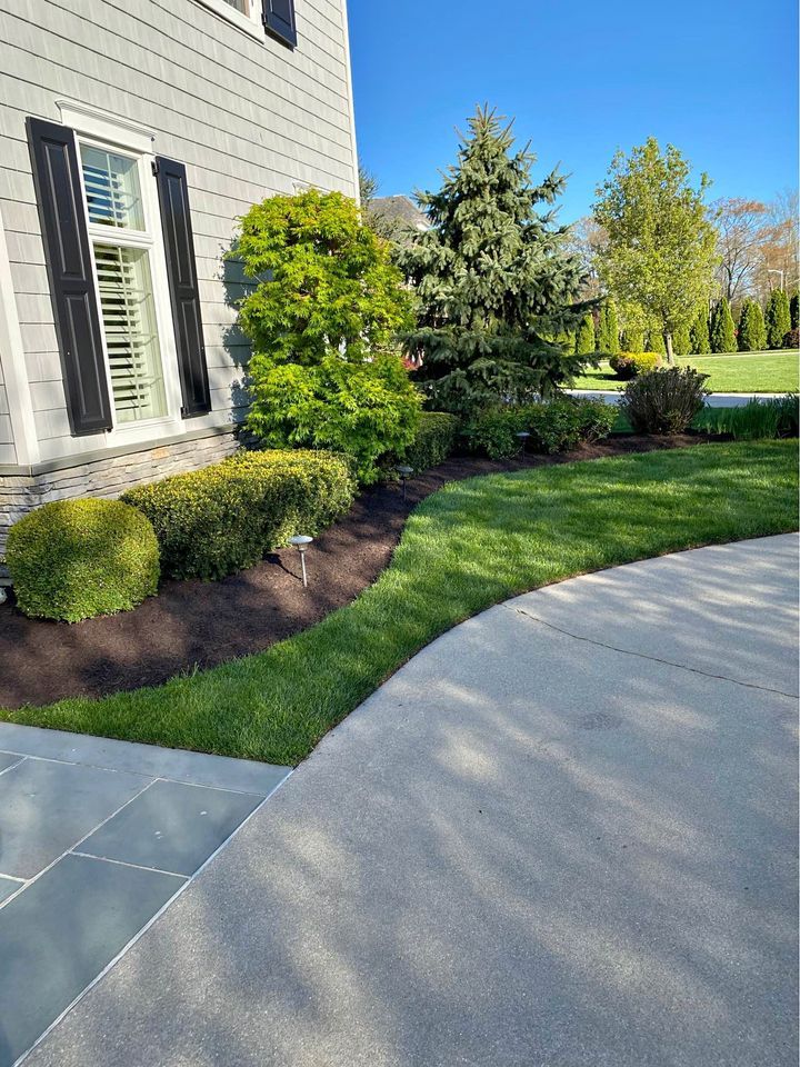 Mulching+ Sod installation