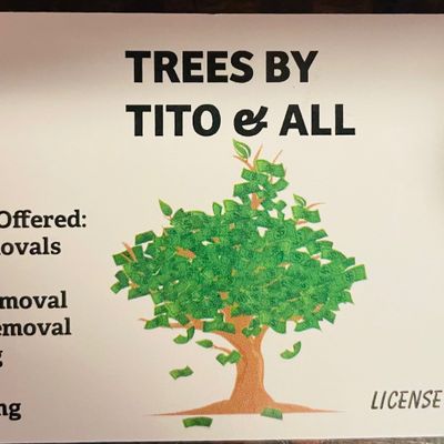 Avatar for Trees by tito & all