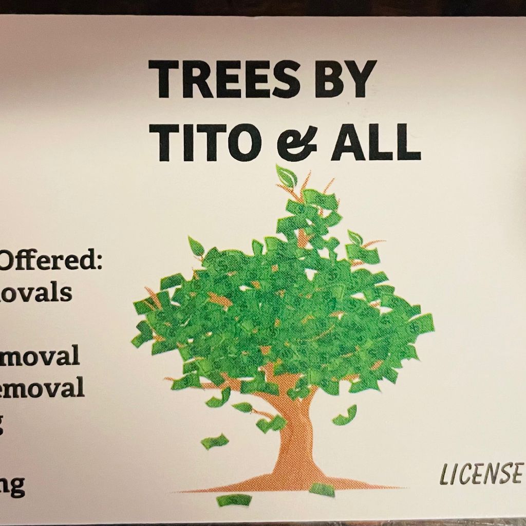 Trees by tito & all