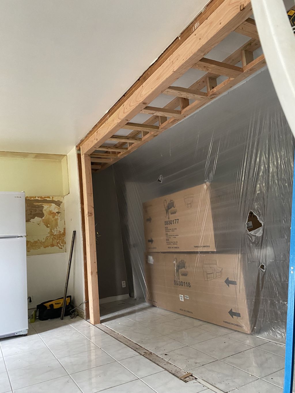 Projects and media