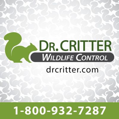 Avatar for Dr. Critter Wildlife Control