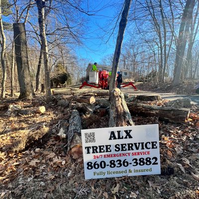 Avatar for ALX Tree Service