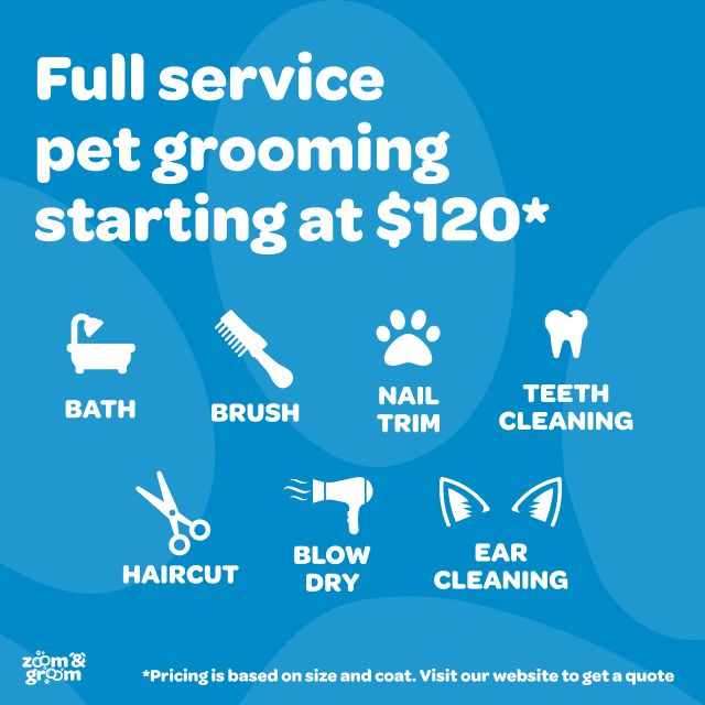 Dog Grooming