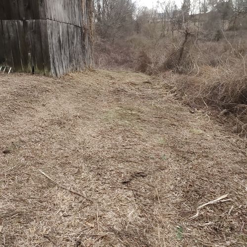 Lawn Mowing and Trimming