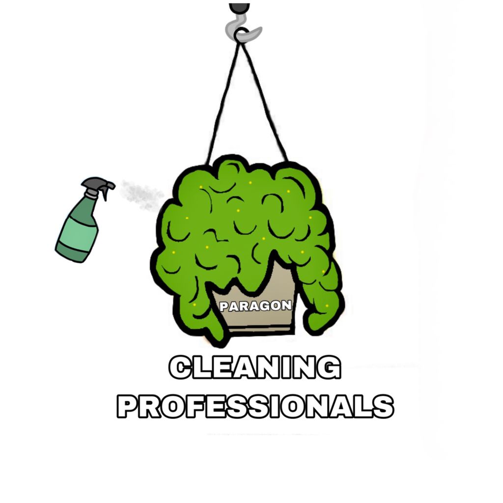Paragon clean pro LLC