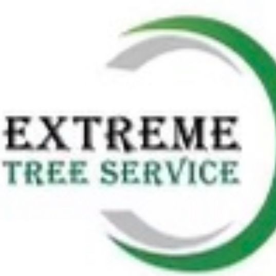 Extreme tree service