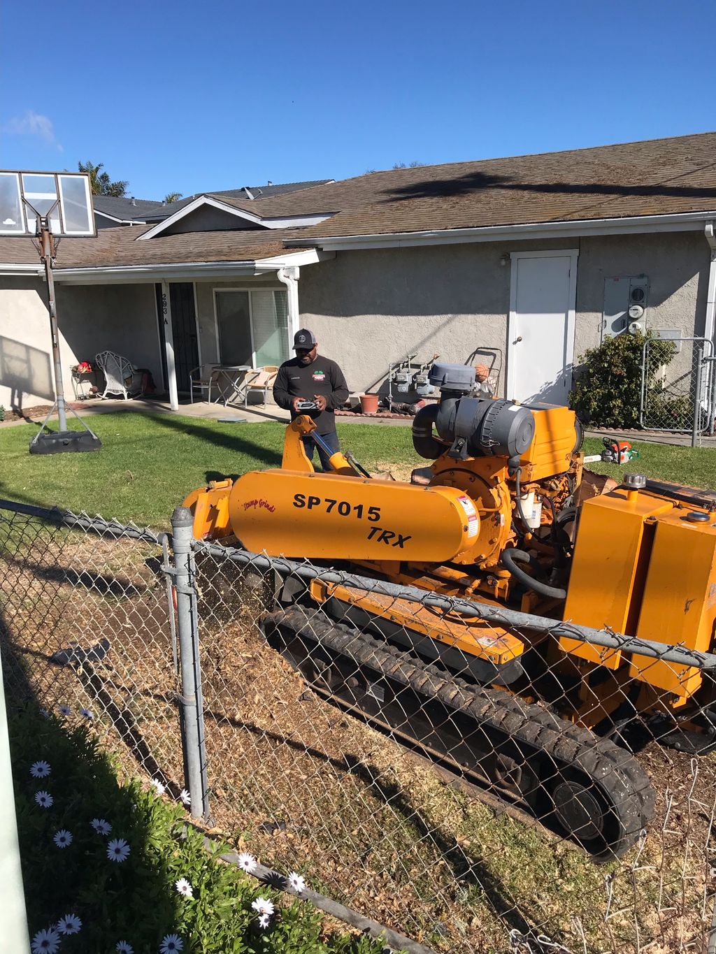 stump grinding