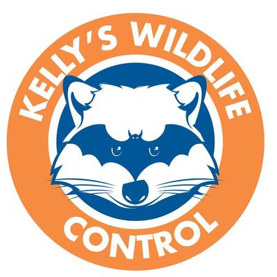 Avatar for Kelly's Wildlife Control