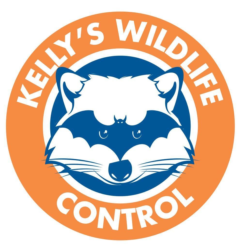 Kelly's Wildlife Control