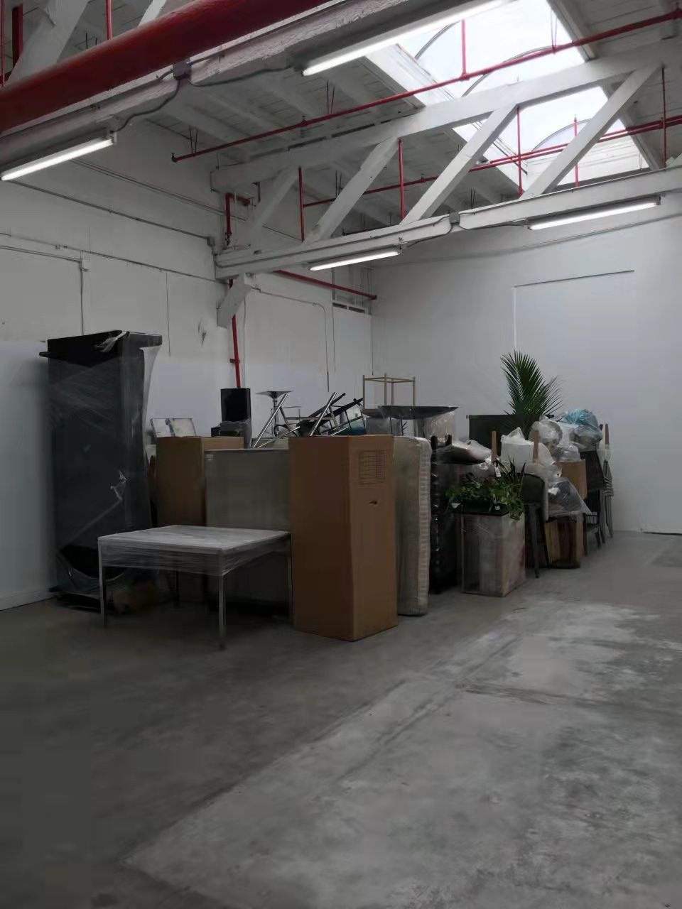 Projects and media