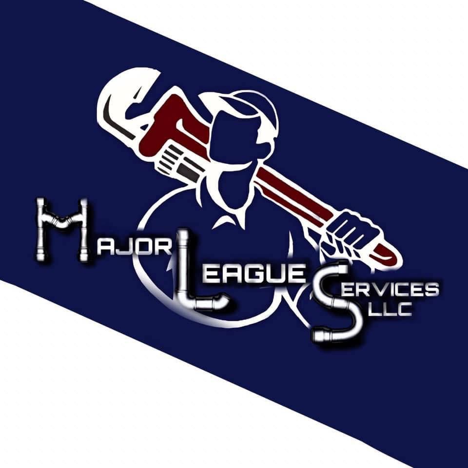 Major League Services LLC