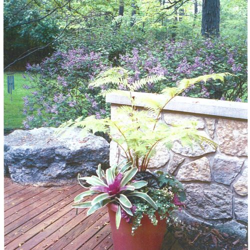 Featured Projects