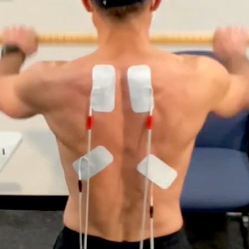 Reprogramming the back muscles to discard pain pat