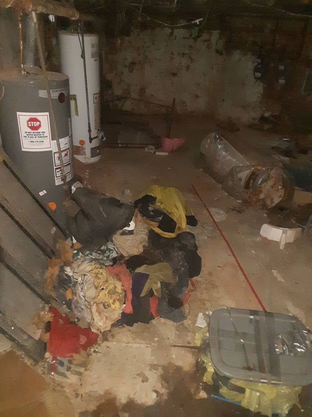 Before... (Basement cleanout)