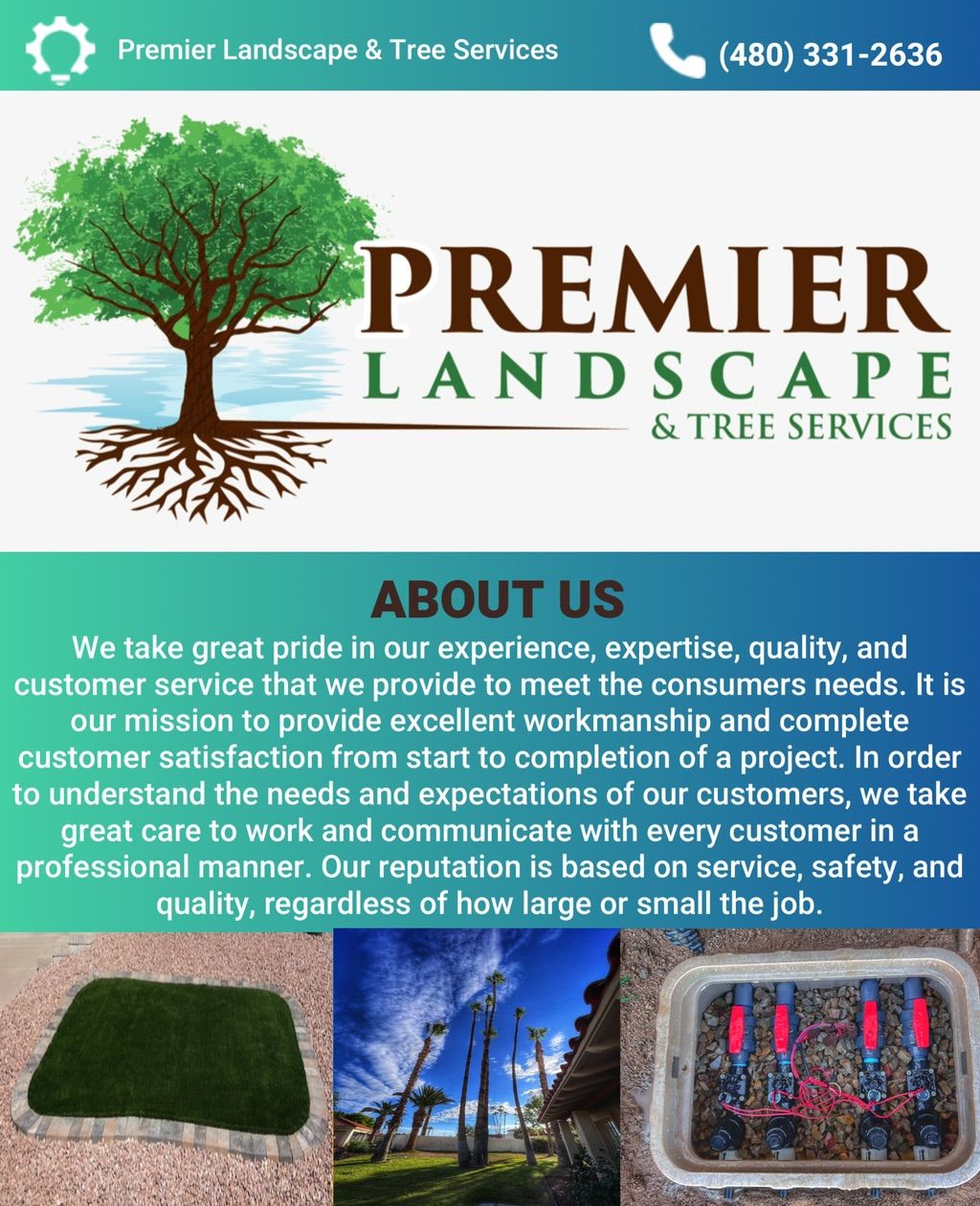 Projects and media