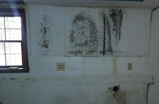 Mold behind cupboards