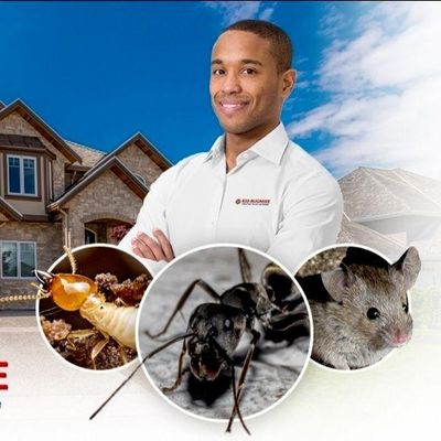 Avatar for Mike's Pest, Termite and Wildlife Control