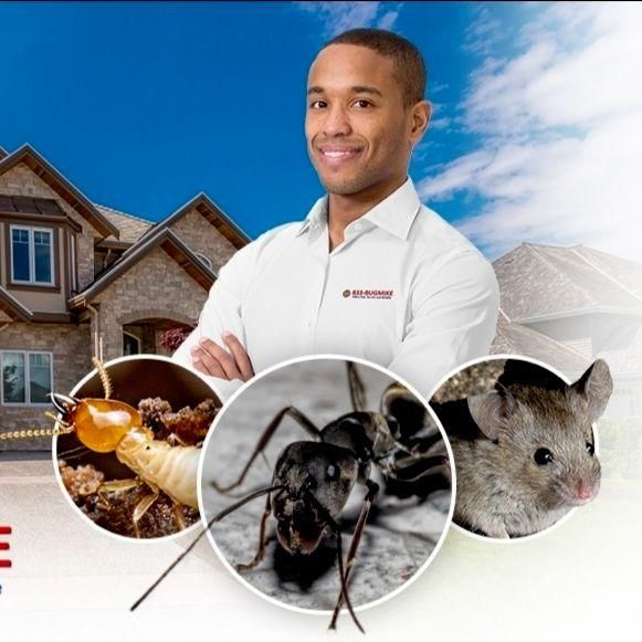 Mike's Pest, Termite and Wildlife Control