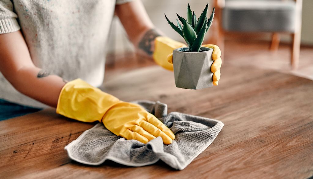 dusting table underneath houseplant