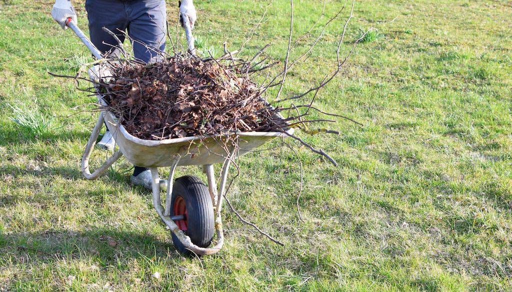 moving wheelbarrow full of branches in yard