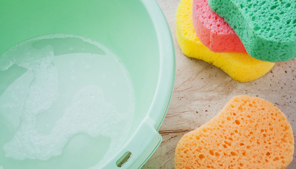 bucket of water and soap next to sponges