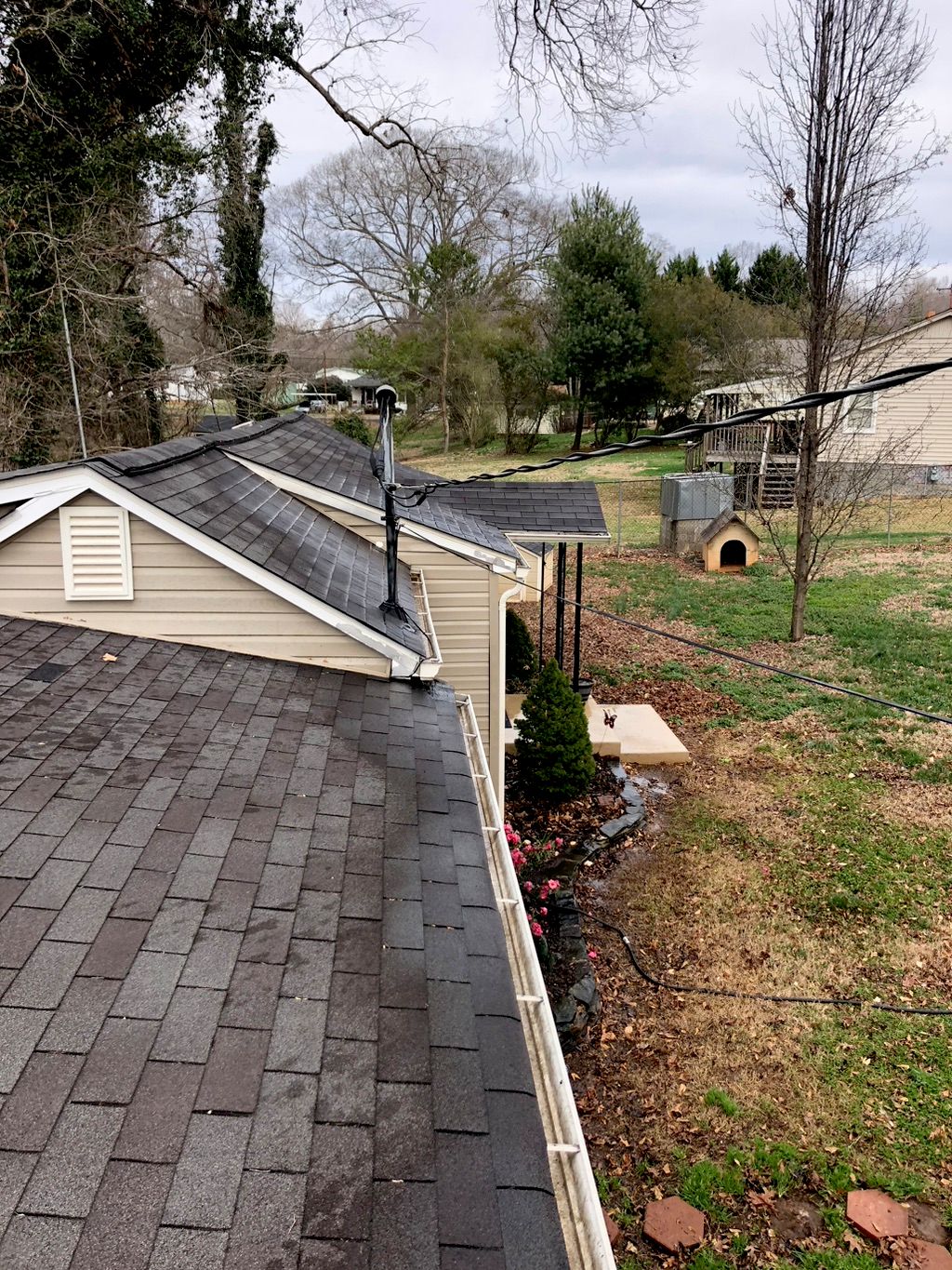Customer photos