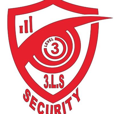 Avatar for Three Level Security and Car Services LLC.