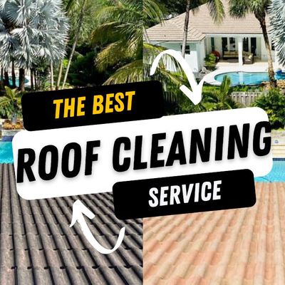Avatar for The Roof Cleaning Guy