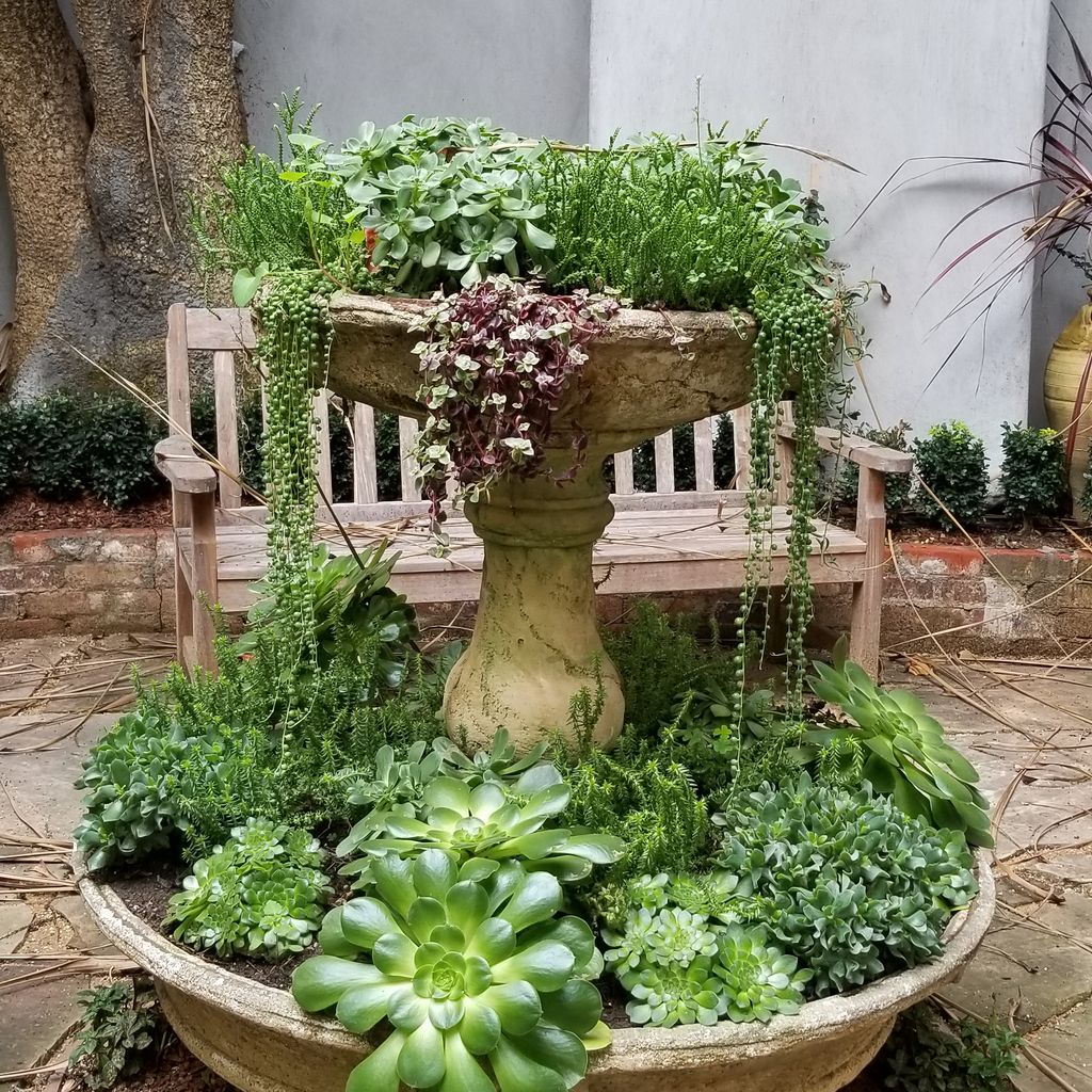 Donlan Landscape Contractors