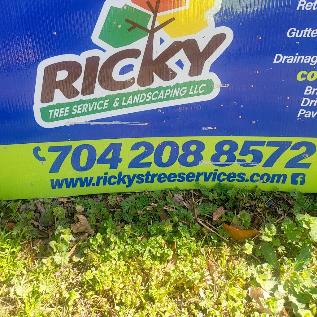 RYCKYS TREESERVICES