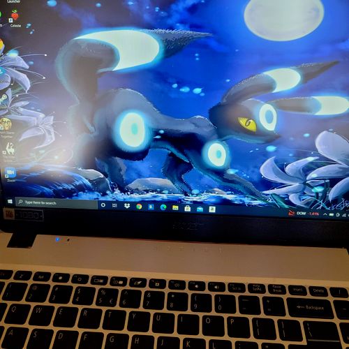 I appreciate Ron working to fix my laptop screen. 