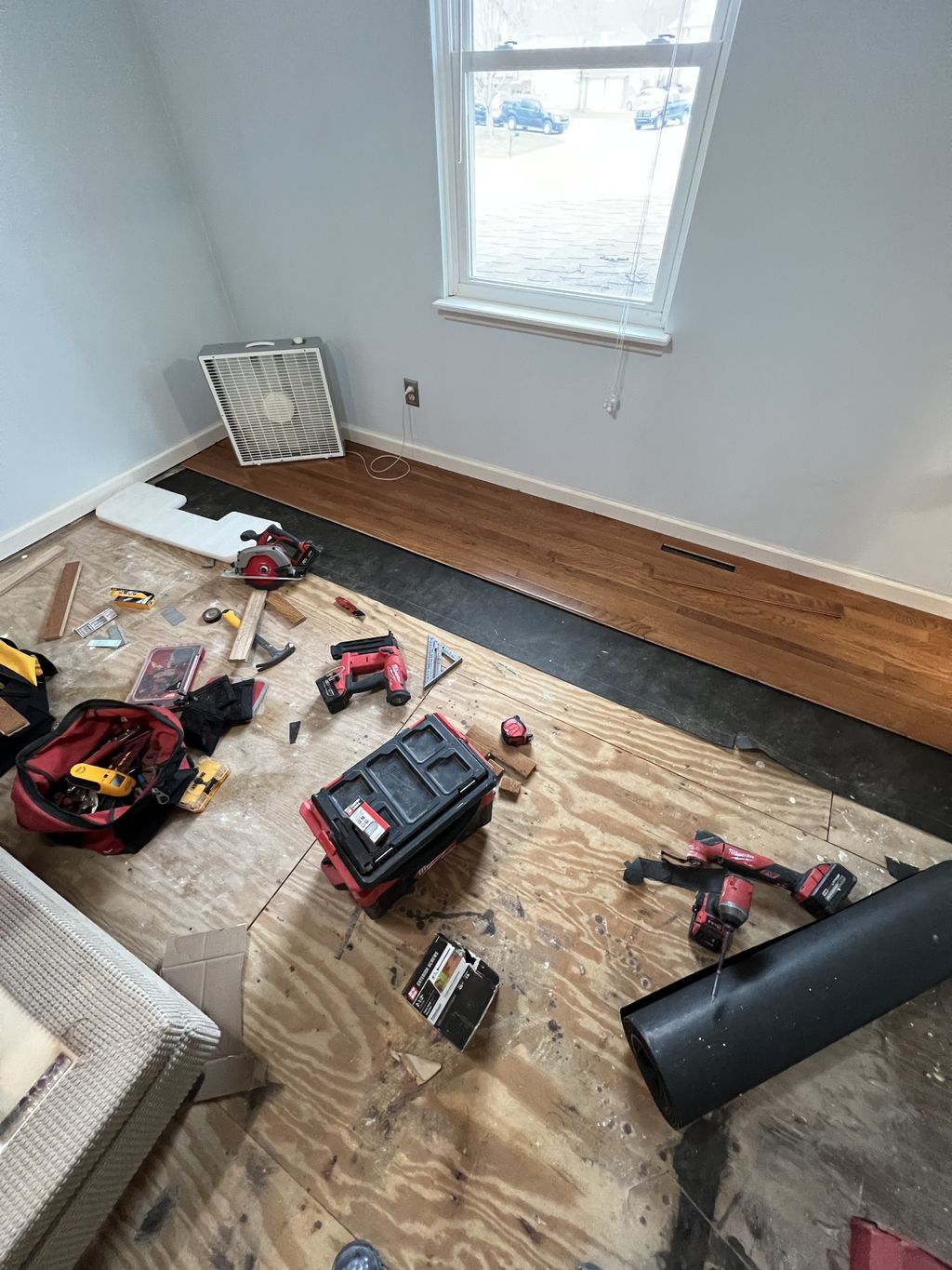 Projects and media