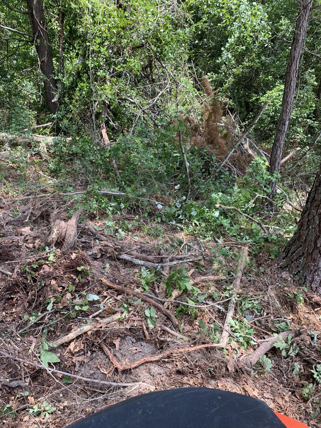 Land Clearing