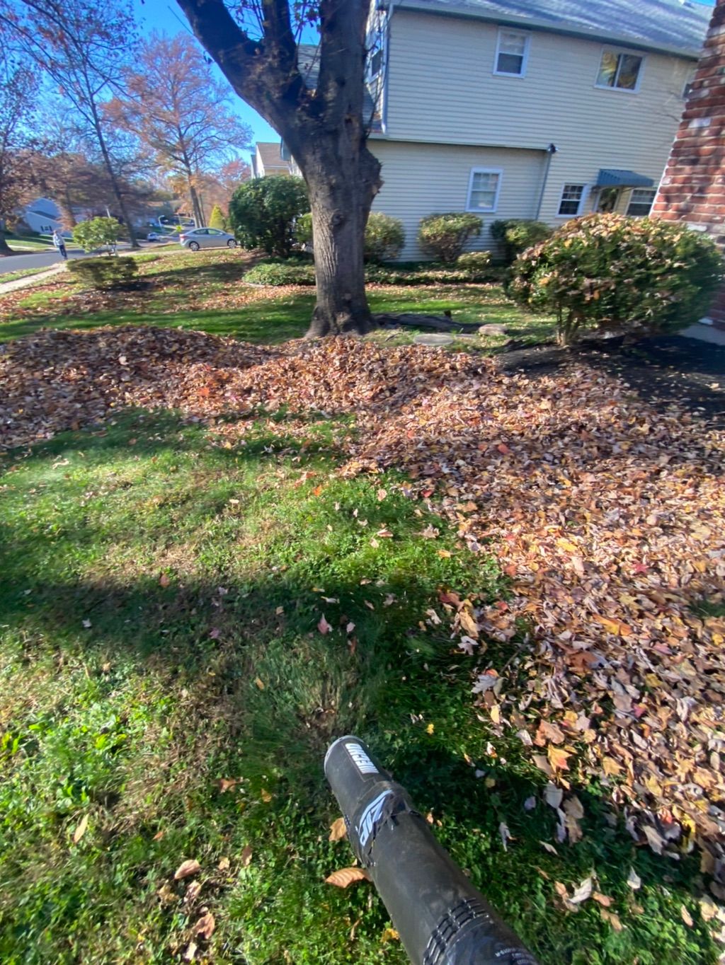 Spring cleanup 