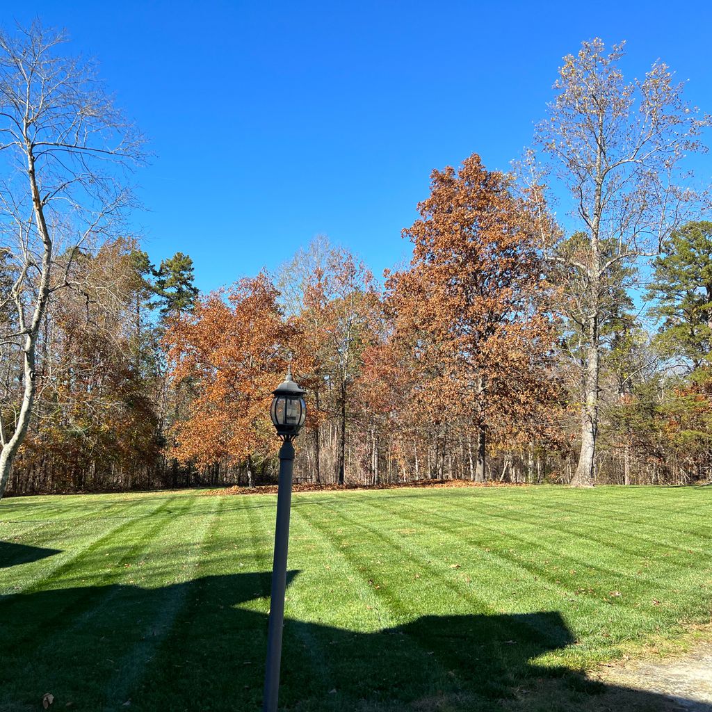 Webster Landscapes