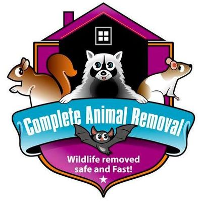 Avatar for Complete Animal Removal