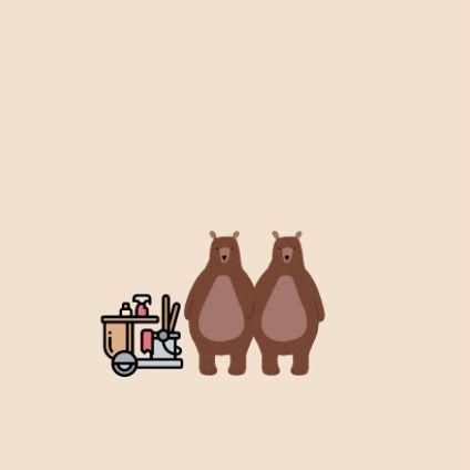 The Cleaning Bears