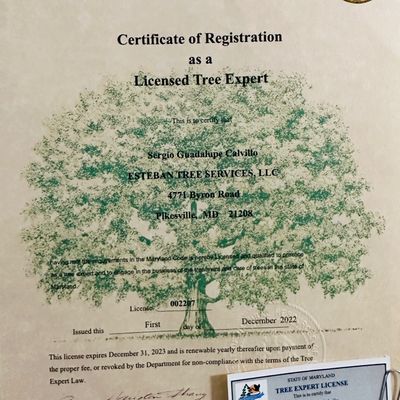 Avatar for Esteban tree services LLC