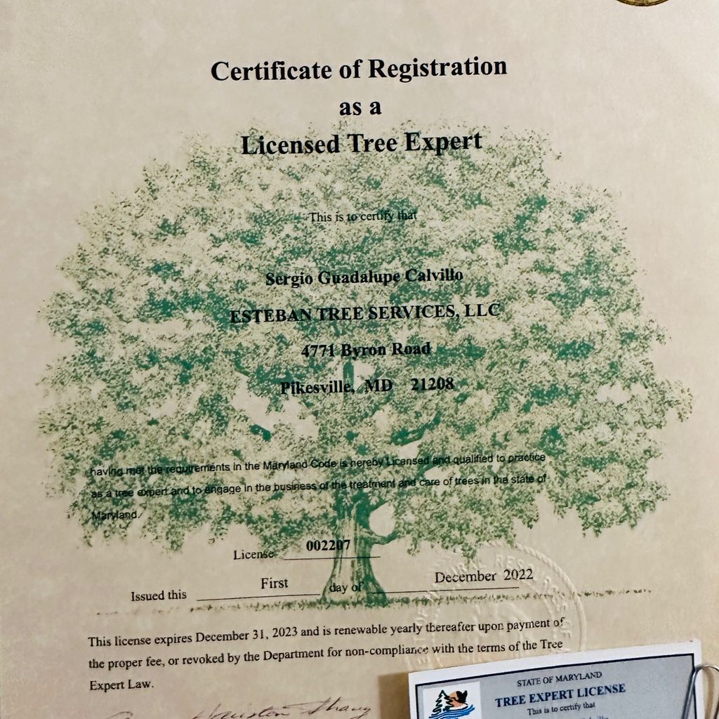 Esteban tree services LLC