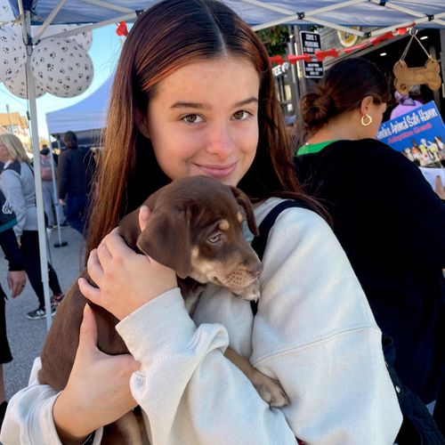 Belle's Animal Care L.L.C