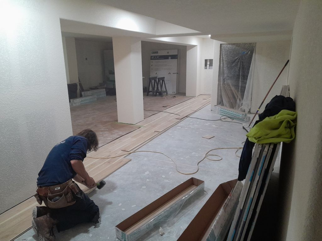 Projects and media